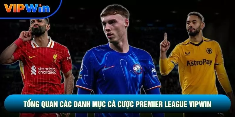 Cá Cược Premier League Vipwin - 3 Nhóm Đấu Big Six 2 Tổng quan các danh mục cá cược Premier League vipwin