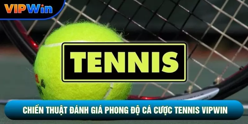 Cá Cược Tennis Vipwin - 3 Cấp Độ Giải Đấu Grand Slam ATP Challenger 3 Chiến thuật đánh giá phong độ cá cược tennis vipwin