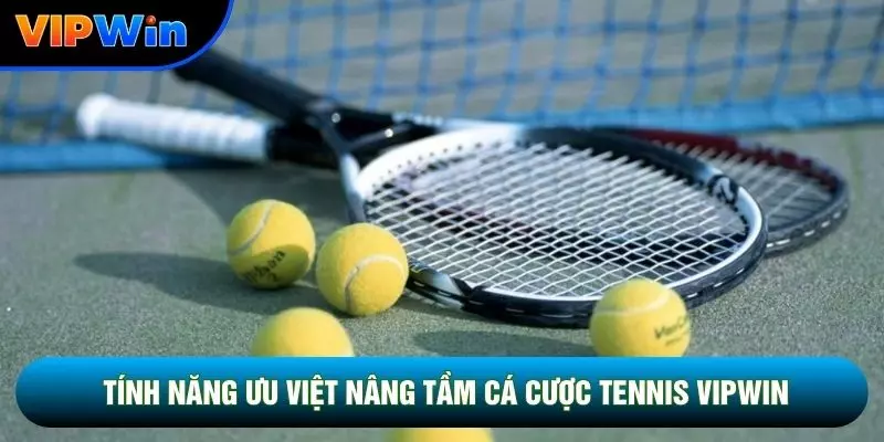 Cá Cược Tennis Vipwin - 3 Cấp Độ Giải Đấu Grand Slam ATP Challenger 5 Tính năng ưu việt nâng tầm cá cược tennis vipwin