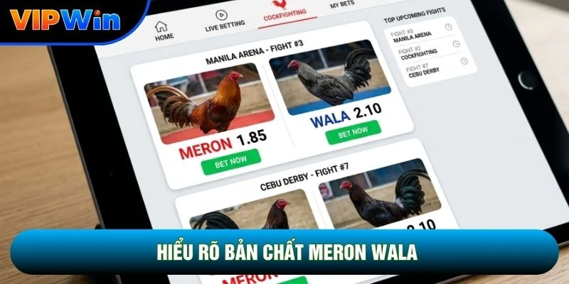 Meron Wala Là Gì Vipwin - Cửa Đỏ 55% Thắng Vs Cửa Xanh 1 Ăn 1.0 2 Hiểu rõ bản chất meron wala