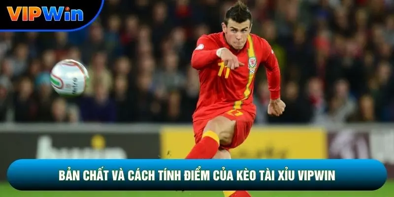 Kèo Tài Xỉu Vipwin Là Gì - 3 Mốc Chính 2.5, 2.75 Và 3 Trái Thẳng 2 Bản chất và cách tính điểm của kèo tài xỉu vipwin