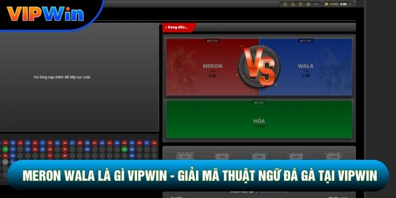 Meron Wala Là Gì Vipwin - Cửa Đỏ 55% Thắng Vs Cửa Xanh 1 Ăn 1.0 1 Meron Wala Là Gì Vipwin - Giải Mã Thuật Ngữ Đá Gà Tại Vipwin